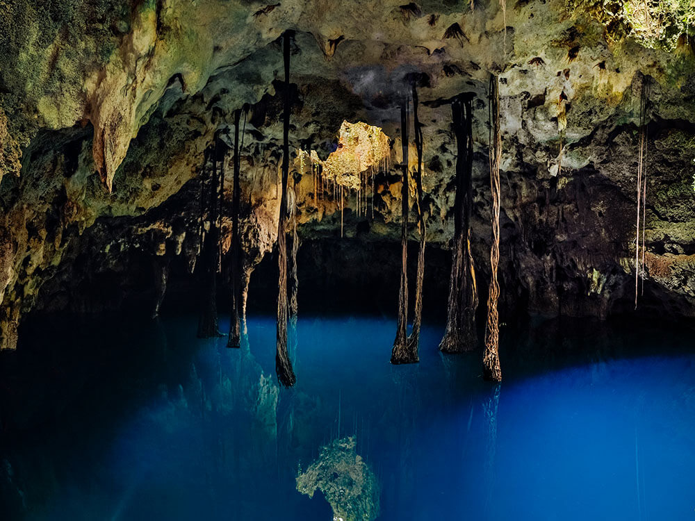 xenotes-01